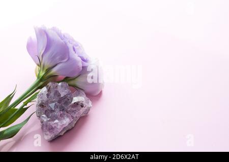 Schöne violette eustoma (lisianthus) blüht in voller Blüte mit grünen Blättern und Amethyst Druse. Blumen auf einem rosa Hintergrund. Stockfoto