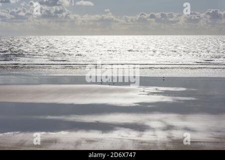 Aberavon Beach, The Princess Margaret Way, Port Talbot, Neath & Port Talbot County Borough, Wales, Vereinigtes Königreich Stockfoto