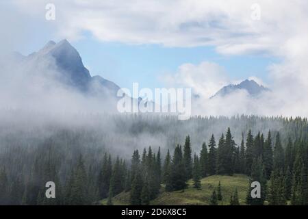 Nebliger Morgen, Molas Pass, San Juan Mts, Rockies, CO, USA, von Bruce Montagne/Dembinsky Photo Assoc Stockfoto