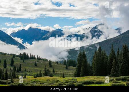 Nebliger Morgen, Molas Pass, San Juan Mts, Rockies, CO, USA, von Bruce Montagne/Dembinsky Photo Assoc Stockfoto