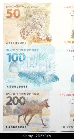 Tiere der brasilianischen Banknoten auf der Rückseite. Seite an Seite BRL-Banknoten, 200, 100 und 50 reais. Guara Wolf, Zackenbarsch und die gemalte Unze. Stockfoto