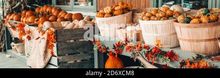 Bunte Kürbisse in Körben von Laden auf dem Bauernhof. Herbsternte. Thanksgiving und Halloween-Urlaub Vorbereitungen. Buntes frisches Gemüse der Saison Stockfoto