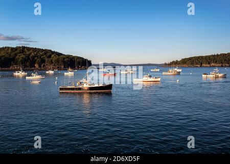 Angeln Lobster Boote bei Sonnenuntergang in Bar Harbor, Acadia National Park, Maine Stockfoto