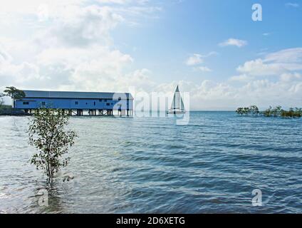 Sonnenuntergang Kreuzfahrt Segelboot auf dem Weg vorbei an der alten Zuckerwharf am Ende eines Top-Tages in Port Douglas, Far North Queensland Stockfoto