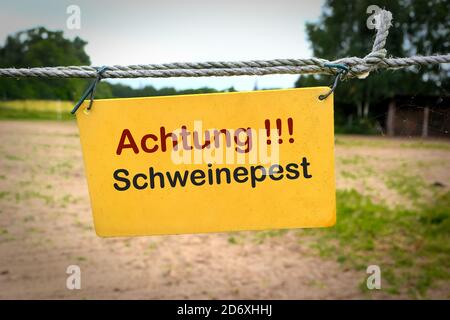 Schild mit der Aufschrift 'Achtung Schweinepest' Auf einem Zaun zu einem Bauernhof in Deutschland Stockfoto