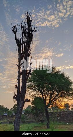Am frühen Morgen Sonnenlicht scheint durch Bäume. Sonnenaufgang über den Hügeln von Wald im Blue Mountains Nationalpark in Jaipur, Indien bedeckt. Stockfoto