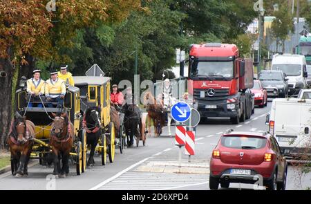 10. Oktober 2020, Sachsen, Bad Düben: Siegfried Händler und Monika Sonntag vom Familienunternehmen Kutsche, Kremser und Co. Sind in Bad Düben mit Mitarbeitern, Familie und Gästen in einer Postkutsche, Landauer und vis-a-vis-Bus unterwegs. Die kleine Herbstfahrt mit den historischen Kutschen markiert das Ende der Sommersaison und gleichzeitig den Beginn der Winterfahrten. Wärmende Häute und Decken für die Landau und Kremser und heiße Brennsteinziegel als "Fußbodenheizung" für die Postkutscher gehören dann in der kalten Jahreszeit zum Inventar. Foto: Waltraud Grubitzsch/dpa-zentralbild/ZB Stockfoto