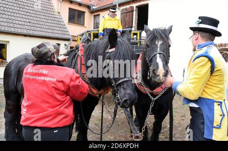 10. Oktober 2020, Sachsen, Bad Düben: Vor der Abfahrt mit Postkutsche, Landauer und vis-a-vis Kutsche werden die Pferde auf dem Hof von Siegfried Händler und Monika Sonntag vom Familienunternehmen 'Kutsche, Kremser und Co. Gespannt. Familie und Gäste in Bad Düben mit den historischen Kutschen markieren das Ende der Sommersaison und gleichzeitig den Beginn der Winterritte. Wärmende Pelze und Decken für die Landau und Kremser und heiße Brennsteinziegel als "Fußbodenheizung" für die Postkutscher gehören dann in der kalten Jahreszeit zum Inventar. Foto: Waltrau Stockfoto
