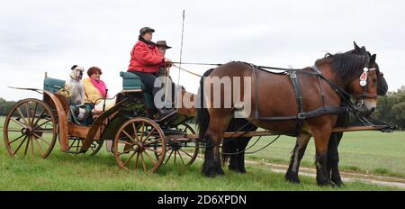 10. Oktober 2020, Sachsen, Bad Düben: Monika Sonntag vom Familienunternehmen 'Kutsche, Kremser und Co.' ist auf Herbstausflug mit einem Landau und Boxer 'Toni' mit Mitarbeitern, Familie und Gästen in Bad Düben. Die kleine Herbstfahrt mit den historischen Kutschen markiert das Ende der Sommersaison und gleichzeitig den Beginn der Winterfahrten. Wärmende Häute und Decken für die Landau und Kremser und heiße Brennsteinziegel als "Fußbodenheizung" für die Postkutscher gehören dann in der kalten Jahreszeit zum Inventar. Foto: Waltraud Grubitzsch/dpa-zentralbild/ZB Stockfoto