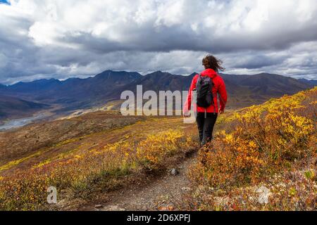 Frau wandern entlang Scenic Trail auf einem Berg, im Herbst Stockfoto
