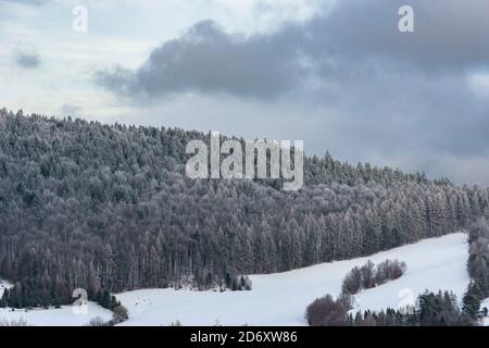 Winteransicht eines gefrorenen Waldes in Beskid Sadecki Bergen bei Krynica Zdroj, Polen Stockfoto