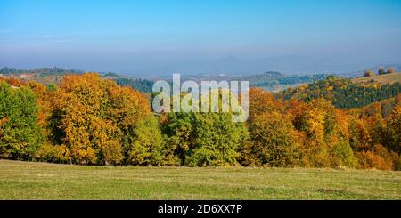 Bäume in bunten Laub auf den Hügeln. Hügelige Landschaft in der Herbstsaison. Wunderbares sonniges Wetter an einem sonnigen Tag in karpaten Berg Stockfoto