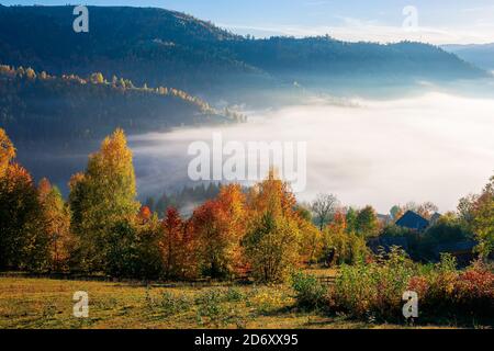 Atemberaubende ländliche Landschaft. Neblige Landschaft bei Sonnenaufgang in der Herbstsaison. Bäume auf Berghügeln in bunten Laub. Dorf im Tal Stockfoto