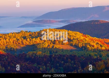 Misty Sonnenaufgang in den Bergen. schöne Herbstwetter. schöne Natur Landschaft vom Gipfel eines Hügels beobachtet. Bäume in bunten Herbstfarben. Nebel gl Stockfoto
