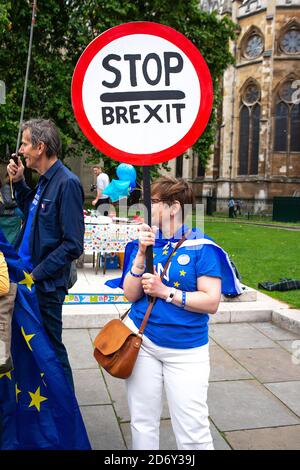 Anti-Brexit-Kampagne Protestierenden mit Schild vor dem Houses of Parliament, London, aus Protest gegen den Austritt Großbritanniens aus der Europäischen Union.. Stockfoto