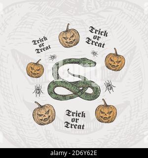 Trick or Treat Halloween Vektor Hintergrund oder Karte Vorlage. Handgezeichnete Schlange und Kürbisse mit Spider Sketch und Vintage Typografie. Urlaub Stock Vektor