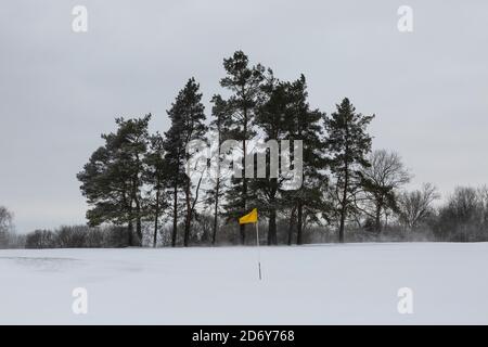 Gelbe Flagge auf einem schneebedeckten Golfplatz Stockfoto