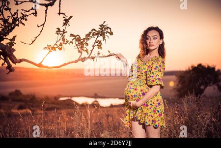 Junge schwangere Frau Porträt auf Sommer Sonnenuntergang Wiese Stockfoto