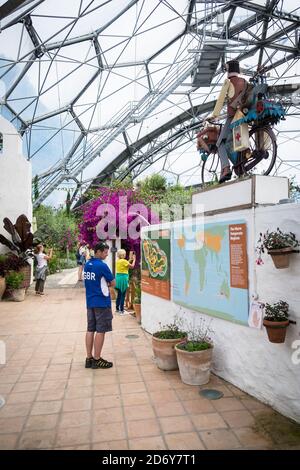 Besucher, die durch das Innere des Mediterranean Biome im Projektkomplex Eden in Cornwall wandern. Stockfoto