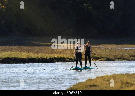 Zwei weibliche Urlauber auf Stand Up Paddleboards paddeln im frühen Abendlicht in Newquay in Cornwall den Gannel River hinauf. Stockfoto