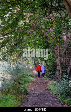 Ein älteres Paar, das an einem herbstlichen Tag die Hände hält, während es auf dem Treidelpfad des River Wey Navigation Kanals läuft, Byfleet Surrey England UK Stockfoto