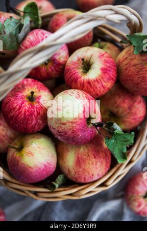 Frische reife rote Äpfel im Herbst im Korb auf rustikalem Hintergrund Stockfoto