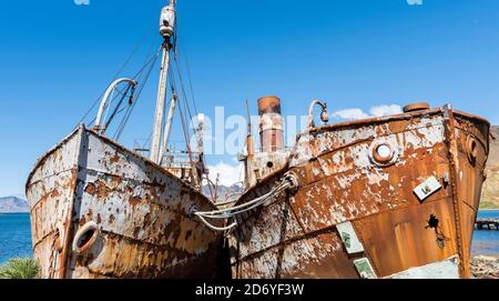 Die Albatros und Dias, zwei Wracks in Grytviken. Grytviken Whaling Station in Südgeorgien. Grytviken ist für Besucher geöffnet, aber die meisten Wände und Dächer o Stockfoto