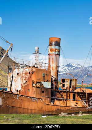 Wrack der Dias in Grytviken. Grytviken Whaling Station in Südgeorgien. Grytviken ist für Besucher geöffnet, aber die meisten Wände und Dächer der Fabrik ha Stockfoto