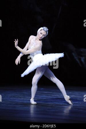 Tänzer führen ausgewählte Auszüge aus der bevorstehenden Produktion von Swan Lake des English National Ballet im Coliseum, St Martin's Lane, London, auf Stockfoto