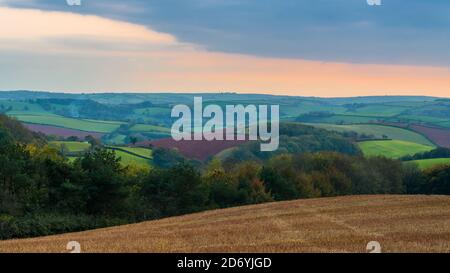 Felder von Berry Pomeroy Village in Devon in England in Europa Stockfoto