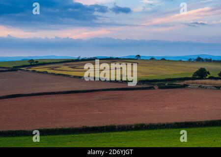 Felder von Berry Pomeroy Village in Devon in England in Europa Stockfoto