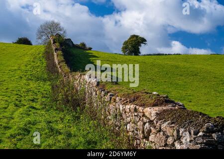 Felder von Berry Pomeroy Village in Devon in England in Europa Stockfoto