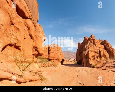 Quebrada de las Conchas auch Quebrada de Cafayate genannt. Eine Schlucht mit bunten Felsformationen von Rio de las Conchas geschaffen. Südamerika, Argent Stockfoto