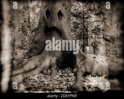 Vintage aussehende Monster Baum Stockfoto