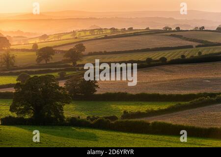 Sonnenuntergang auf den Feldern - Berry Pomeroy Village in Devon In England in Europa Stockfoto