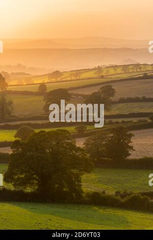 Sonnenuntergang auf den Feldern - Berry Pomeroy Village in Devon In England in Europa Stockfoto