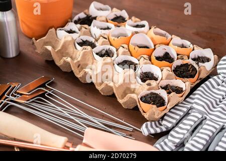 Starten Samen in Eierschalen für Frühjahr einpflanzen. Stockfoto