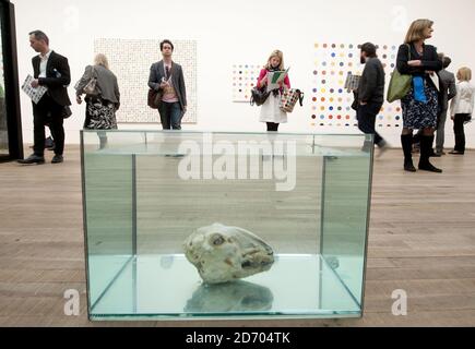 Stimulanzien (and the Way they Affect the Human Body) von Damien Hirst, bestehend aus Schafsköpfen, die in Formaldehyd aufbewahrt werden, sind in einer Retrospektive seiner Arbeiten in der Tate Modern Gallery in London zu sehen. Stockfoto