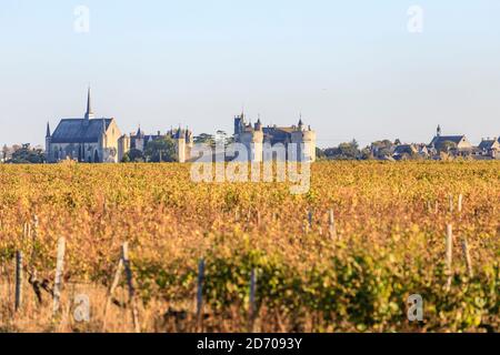 Frankreich, Maine et Loire, Loire Anjou Touraine Regional Naturpark, Montreuil Bellay, Weinberg, Notre Dame Stiftskirche und Schloss // Frankreich, Mai Stockfoto