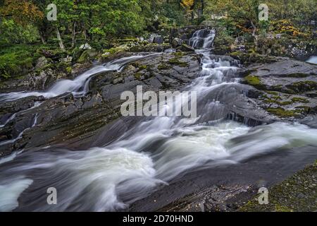 Fluss (Afon) Ogwen fließt über Felsen bei Ogwen Bank in der Nähe Bethesda North Wales Großbritannien Oktober 2019 1807 Stockfoto