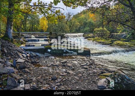 Lachsleiter links neben dem Wehr auf dem River (Afon) Ogwen bei Ogwen Bank in der Nähe von Bethesda North Wales Großbritannien Oktober 2019 1910 Stockfoto