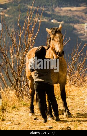 Frau, die bei einem Pferd steht und seinen Check streichelt Stockfoto