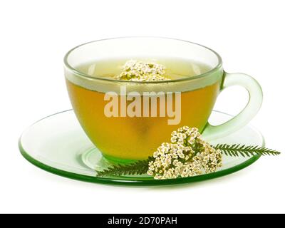 Schafgarbe-Tee in einer Glasschale mit frischen Schafgarbe-Blüten Stockfoto