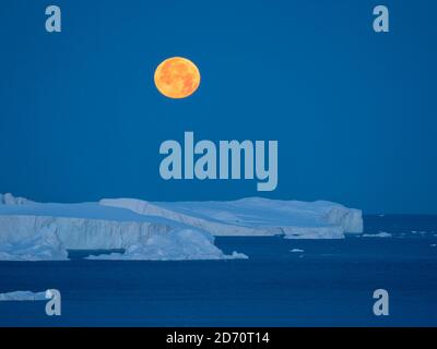 Vollmond. Ilulissat Icefjord auch als Kangia oder Ilulissat Kangerlua in Disko Bay. Der eisfjord ist als UNESCO-Weltkulturerbe gelistet. Amerika, Nord Stockfoto