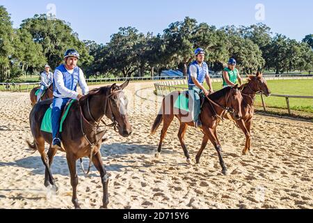 Florida Ocala Racehorse Stud stabil Training einjährige Vollblut Rennpferde, Jockey Jockeys Reiter Reiter Schmutz Rennstrecke, Stockfoto