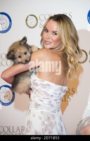 Amanda Holden beim Battersea Dogs and Cats Home Collars and Coats Ball, bei Battersea Evolution in London. Stockfoto