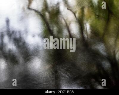 Abstrakte Reflexionen im Fluss Nidd der Herbstbäume in Foolish Wood in Knaresborough North Yorkshire England Stockfoto