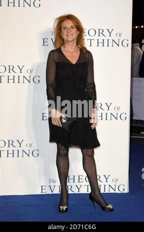 Sarah Ferguson bei der britischen Premiere von Theory of Everything am Odeon Leicester Square in London Stockfoto