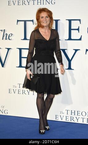 Sarah Ferguson bei der britischen Premiere von Theory of Everything am Odeon Leicester Square in London Stockfoto