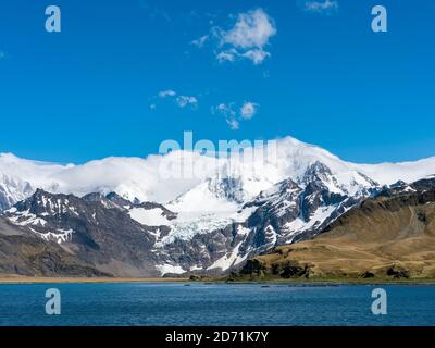 Cumberland East Bay und die Berge der Allardyce Range. Mt. Sugartop. Antarktis, Subantarctica, Südgeorgien, Oktober Stockfoto